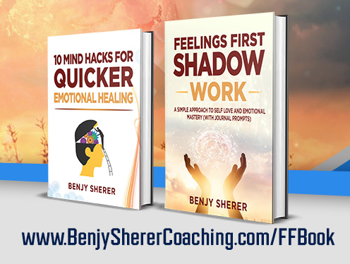Feelings First and Mind Hacks Books Feelings First and Mind Hacks Books