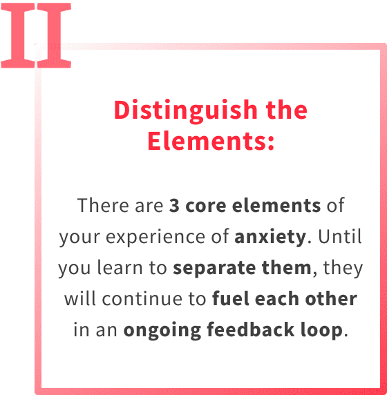 Step 2 of the guaranteed anxiety relief program is to distinguish the 3 elements of our internal experience of anxiety.