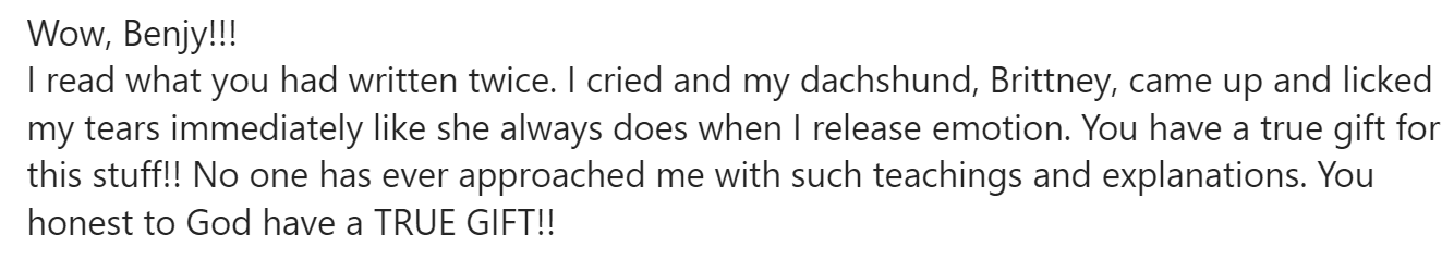 Testimonial explaining how Benjy Sherer's program helped regain emotional balance.